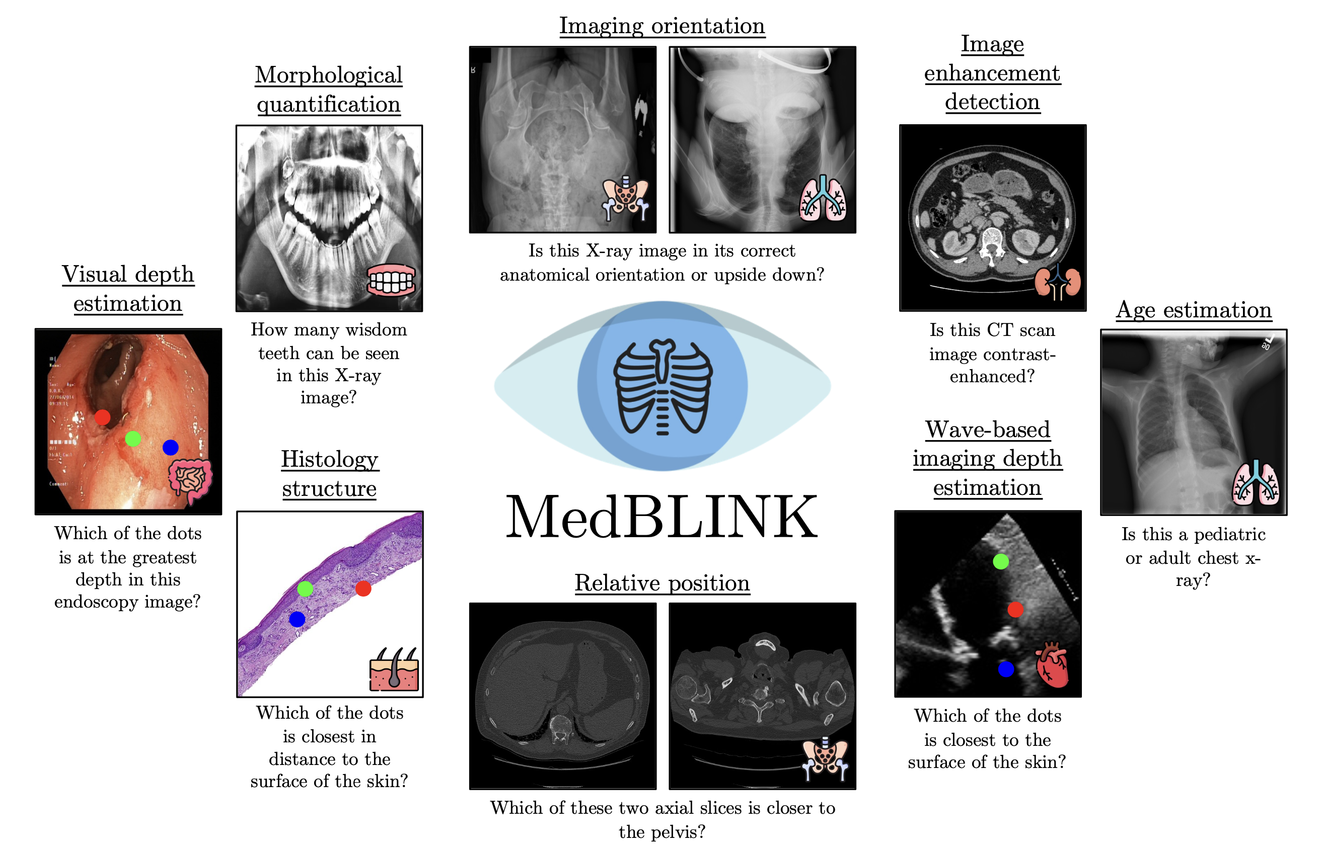 medblink_preview.png